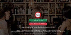 Swingercity.hu official Hungarian swinger portal preview