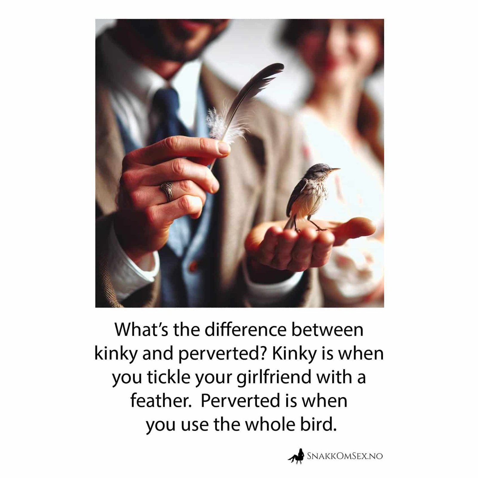 Bilde av mann med en fjær i ene hånden og en fugl i den andre. Tekst: What is the difference between being kinky and perverted? Being kink is tickling your girlfriend with a feather. Perverted is when you use the whole bird.