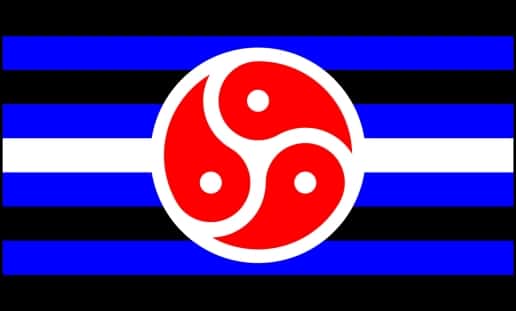 Flagget representere BDSM-rettighetene er inspirert av Leather Pride flagget, og Quagmyrs BDSM-emblem.